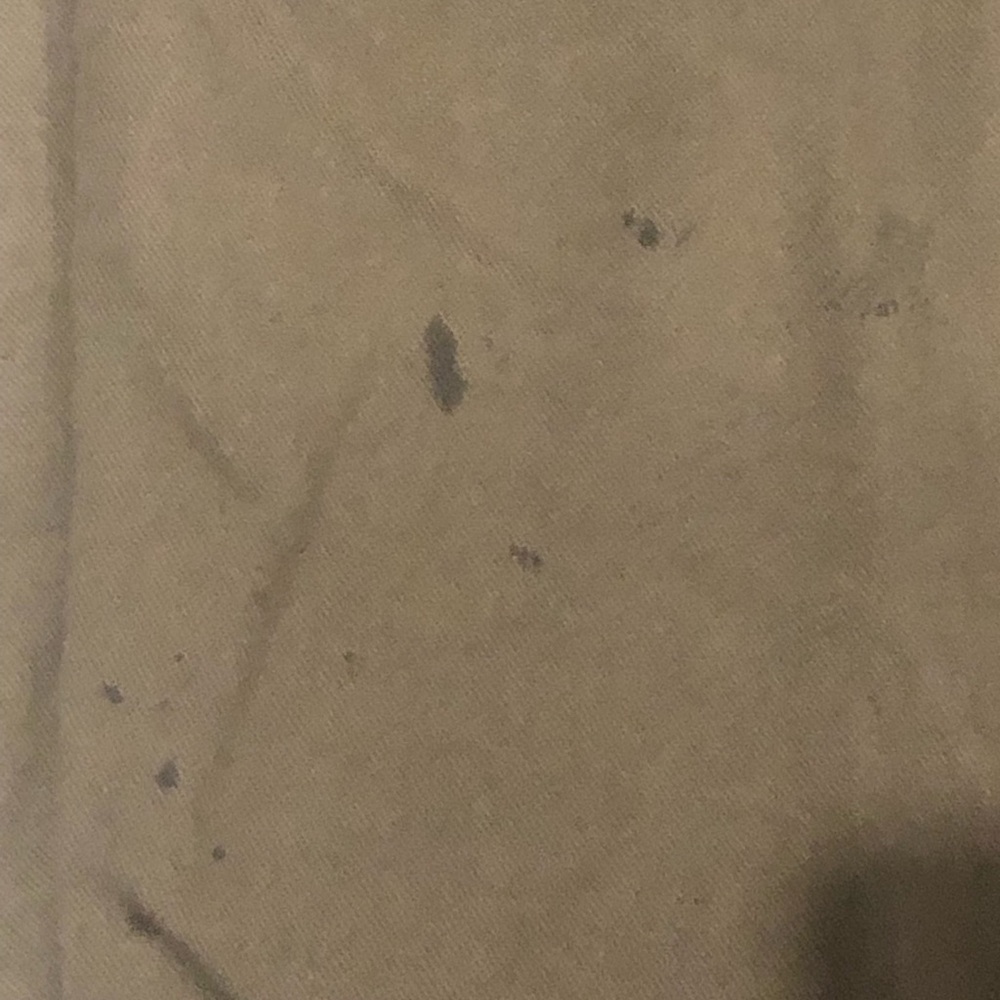 Dickies - Picture 4 of 4